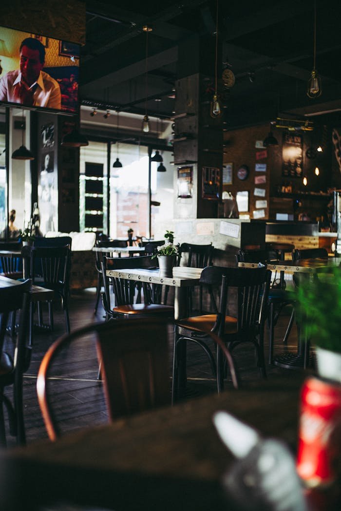 Servicios Bar Los Luises en Montanejos. Warm and inviting restaurant interior showcasing modern decor and ambient lighting.